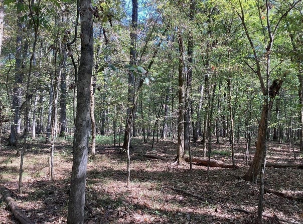 Boswell Road, Okolona, AR 71962
