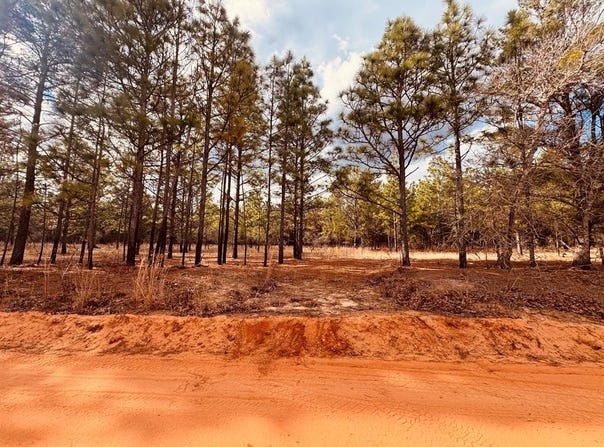 Simmons Road, Mauk, GA 31058