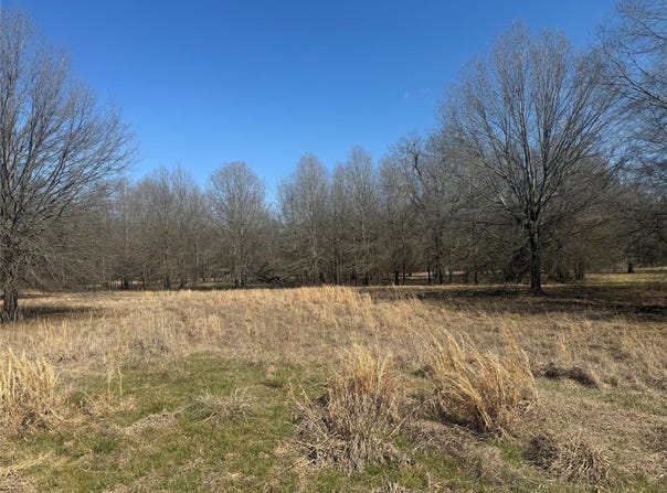 PR 44005, Blossom, TX 75416