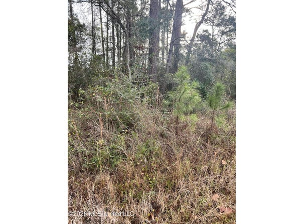 Chestnut Street, Pass Christian, MS 39571