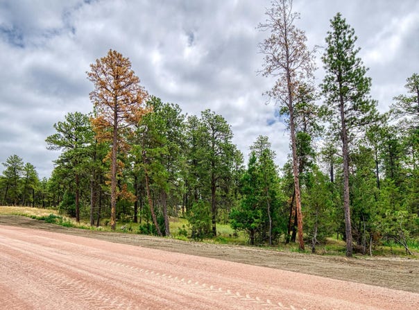 10 Pine Crest Drive, Pine Haven, WY 82721