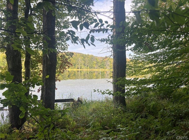Stramba Road, Cincinnatus, NY 13040