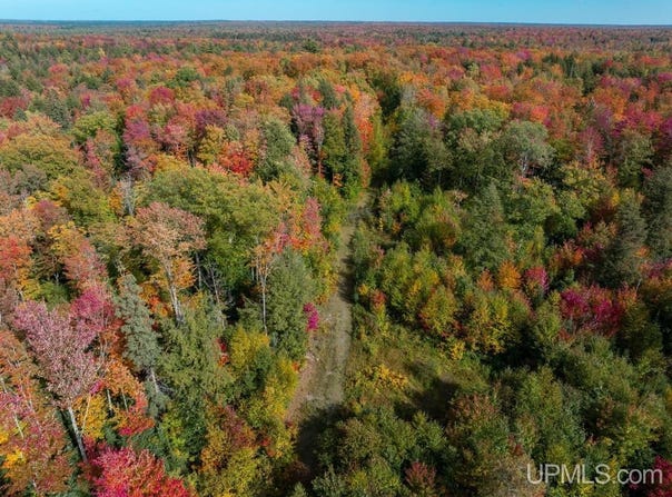 316 acres US 141 Highway, Covington, MI 49919