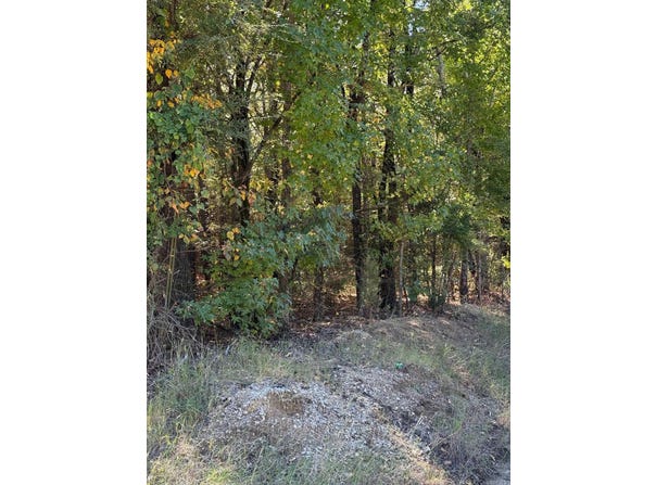 778 Greene Road, Paragould, AR 72450