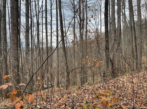 805 Sparkling Falls, Whittier, NC 28789