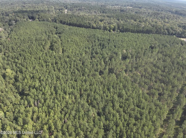 838 Ms-43, Oak Vale, MS 39656