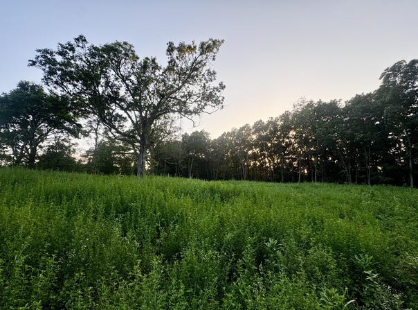 Lucky Road, Seymour, MO 65746