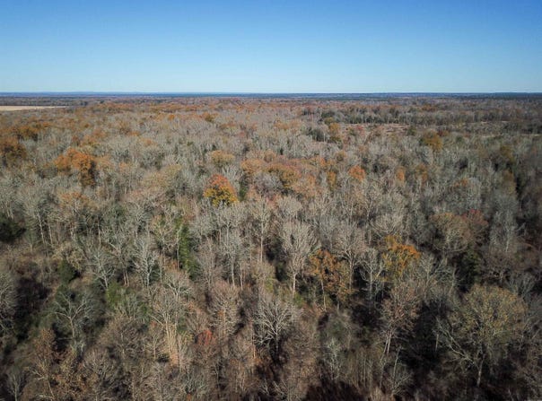 Arkadelphia, AR 71923