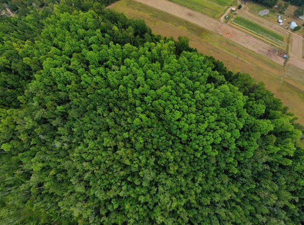 10600 Highway 80 E, Brooklet, GA 30415