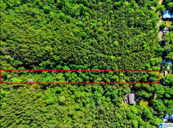 WONDER LANE lot: 0, PARRISH, AL 35580