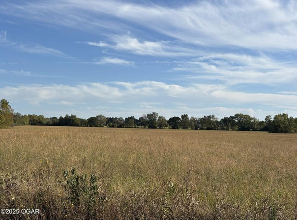 SE Black Jack Road, Baxter Springs, KS 66713