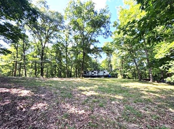 43121 Deerview Trail, Monroe City, MO 63456