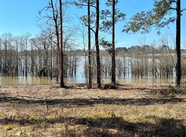 FM 83 lot: 005, Broaddus, TX 75929