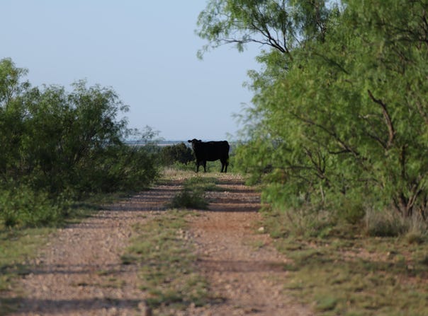 Texas 92, Hamlin, TX 79520