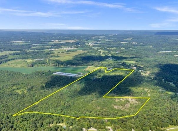 79 Acres co Rd 775, Ider, AL 35981