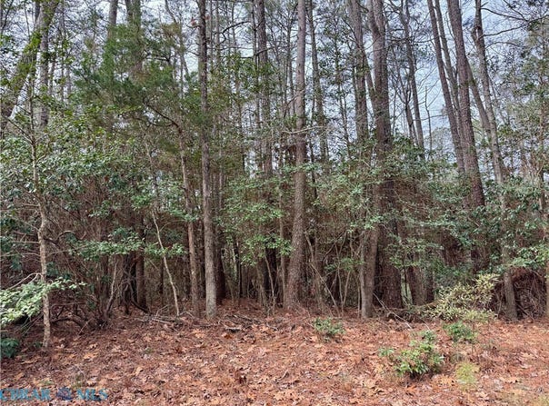 Ridge Rd lot: 270 & 276, Lancaster, VA 22503