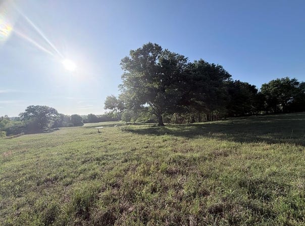 1035 Co Rd 104, BRUNDIDGE, AL 36010