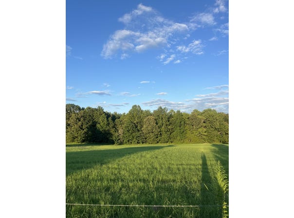 1480 BRUCE Rd E, Whiteville, TN 38075