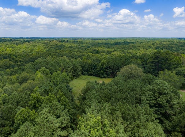 County Road 3154, De Berry, TX 75639