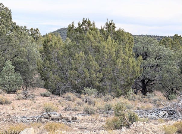 Side Hill Pass lot: 1-B, Pioche, NV 89043