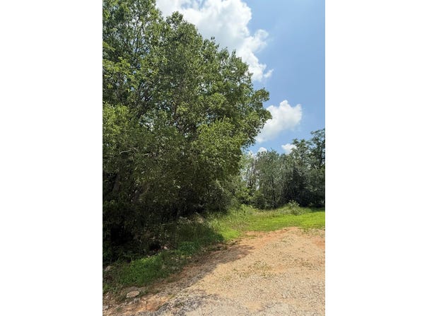 135 Jackson St, Elgin, TX 78621