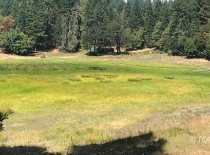 1780 McDonald Creek Rd, Burnt Ranch, CA 95527