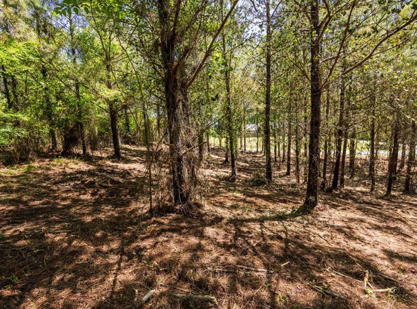 Burntfields Rd, Fulton, MS 38843