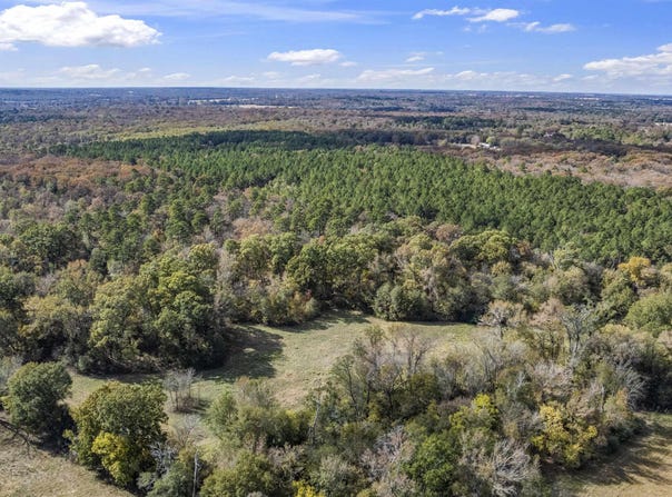 CR 3170, Winnsboro, TX 75494