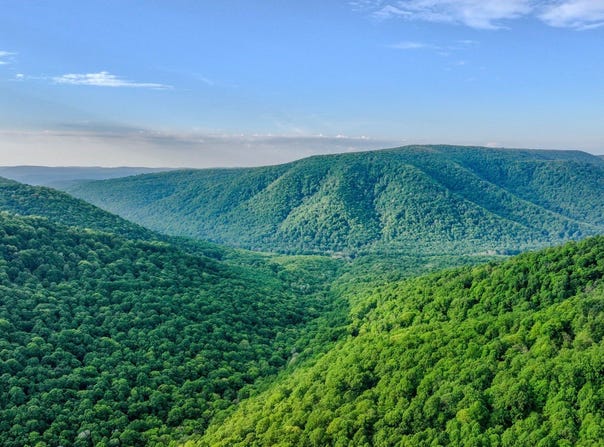 Bidwell Rd, Mill Run, PA 15464