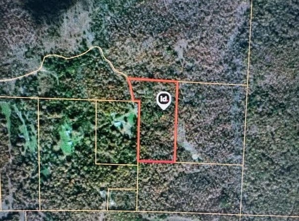 County Road 434, Birch Tree, MO 65438