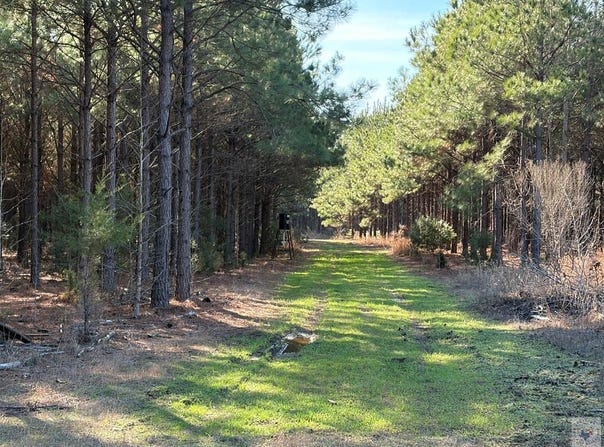 CR 3774, Queen City, TX 75572