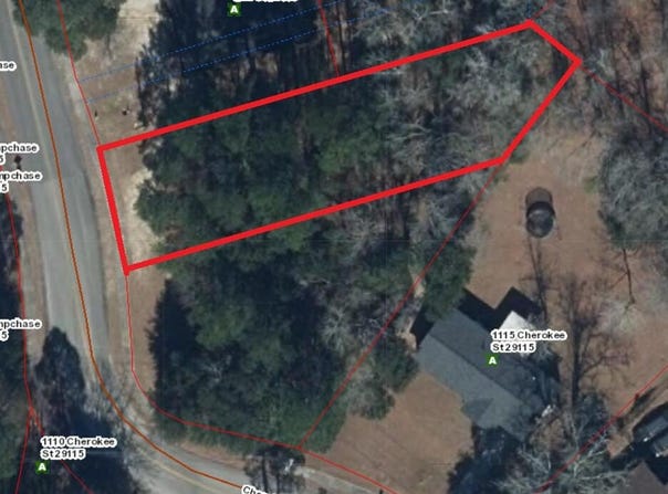 Robert E Lee Road, Orangeburg, SC 29115