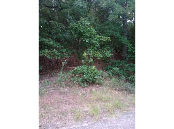 Wildwood, Murchison, TX 75778