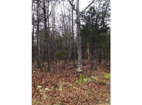 3B Mohawk, Gladys, VA 24554