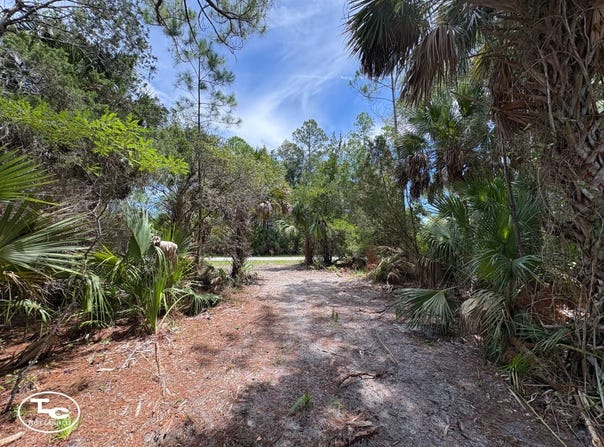 12050 SW Shiloh Rd, Cedar Key, FL 32625