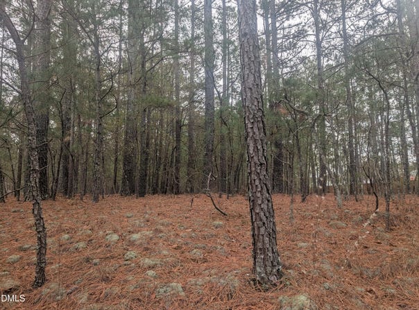 13 Saw Grass Road, Eagle Springs, NC 27242