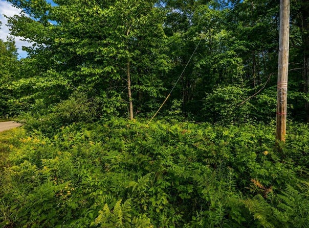 Timberline Drive, Elmira, MI 49615