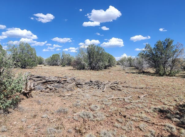 Parcel B N Cienega, Williams, AZ 86046