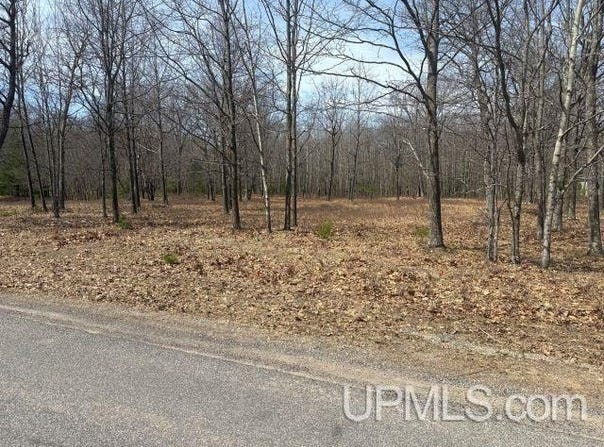 62 Oak Drive Avenue, Gladstone, MI 49837
