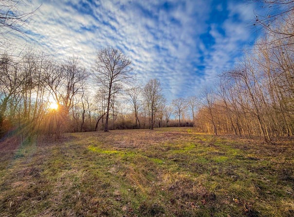 Riverview Beach Rd, Moundville, AL 35474