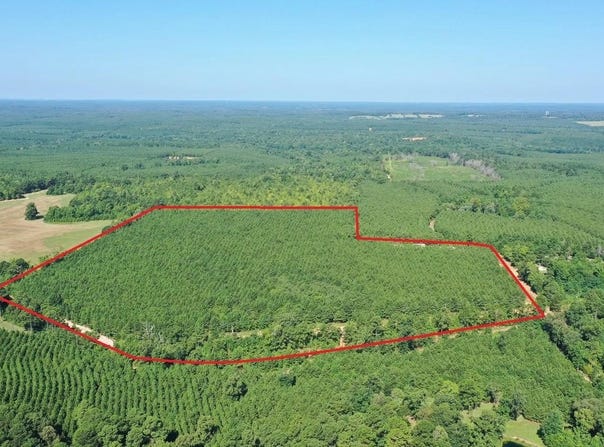 County Road 1619, Linden, TX 75563