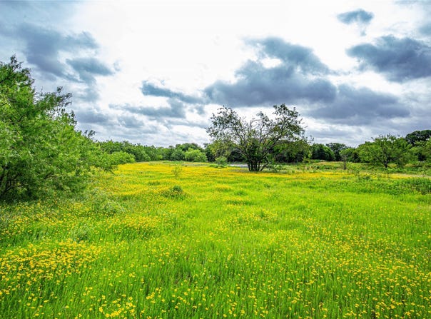 Gholson RD, Waco, TX 76705