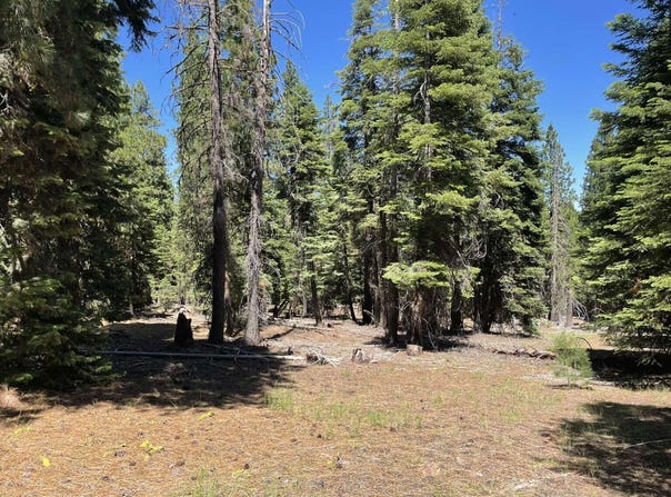 Range Road, Alturas, CA 96101