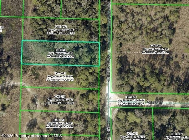 9111 Chimney Rock Drive, Webster, FL 33597