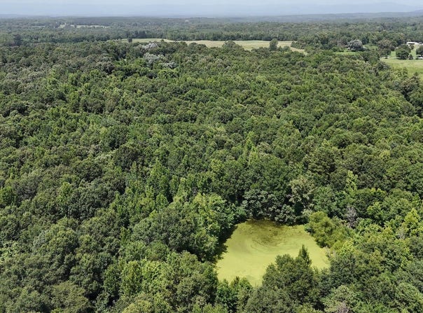 Polk Road 283, Hatfield, AR 71945