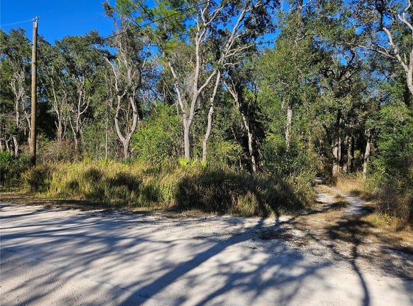 BERRYHILL Drive, WEBSTER, FL 33597