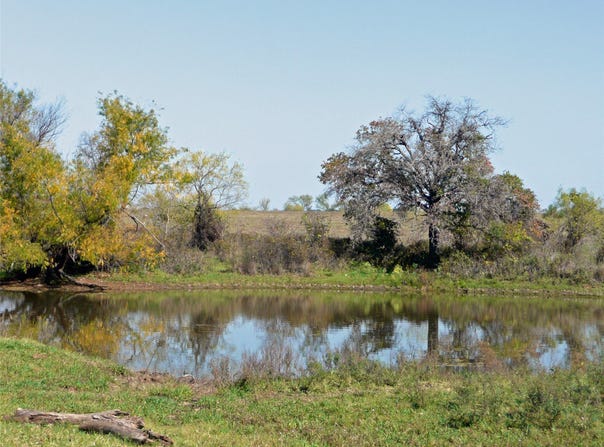 County Road 300, Dublin, TX 76446