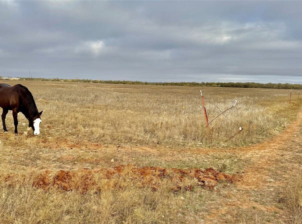 Iberis Road, Abilene, TX 79606