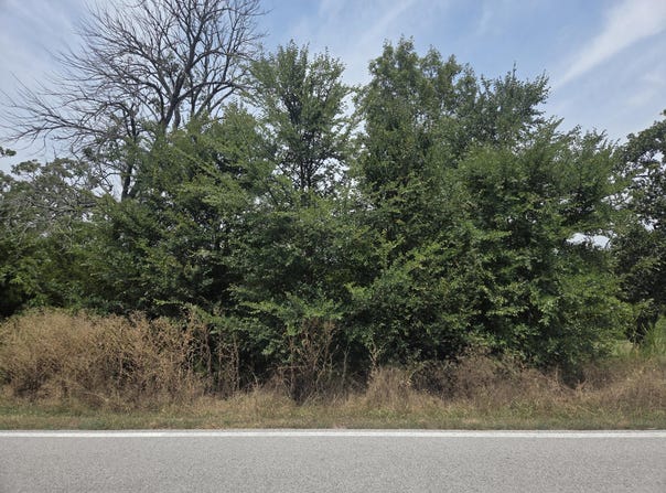 Black Forest Lane lot: 175, Branson West, MO 65737
