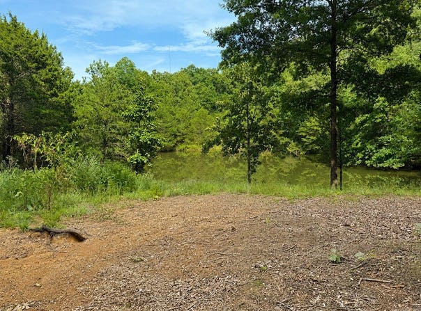 County Road 2291, Hartman, AR 72840